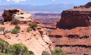 The State of the American Traveler